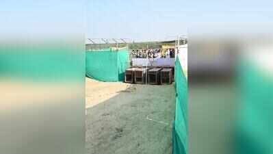 40+ wolves to be released as Gujarat’s rewilding project takes root