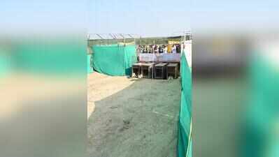 40+ wolves to be released as Gujarat’s rewilding project takes root