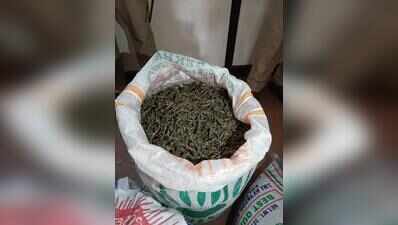Ganja peddler held, names 17 UoH studentss