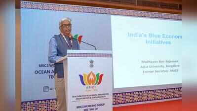 BRICS nations work on roadmap for ocean, polar research