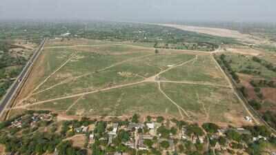 Deesa night safari gets CZA nod