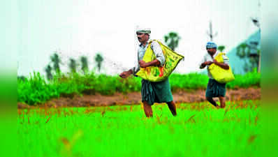 Govt recovers Rs 700 crore paddy dues, intensifies mill raids