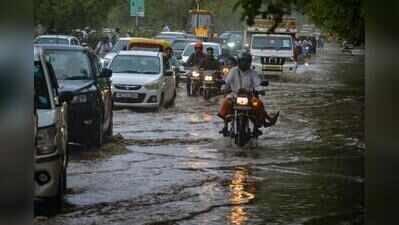 Greenbelts along seven Gurgaon roads to double as rainwater absorption zones