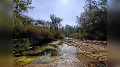 Sukhna feeder canal to get soil erosion study