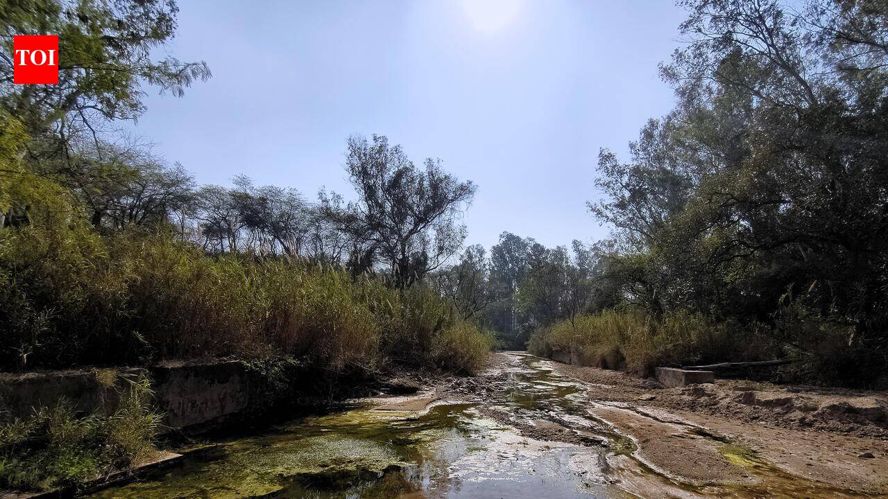 Sukhna feeder canal to get soil erosion study