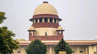 ‘Absurd timelines’: Supreme Court says only 12-15 cases for each UAPA court