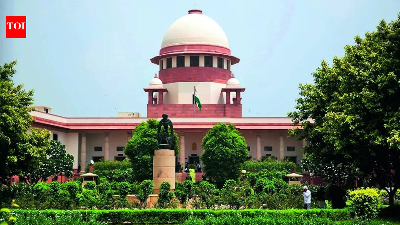 PIL seeks policy to balance right to protest & commute