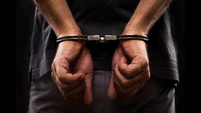 Gujarat man kills wife in US for dumping him; had sent daughter to India days before murder