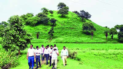 MP to dig out Maurya-era stupa ‘bigger than Sanchi’