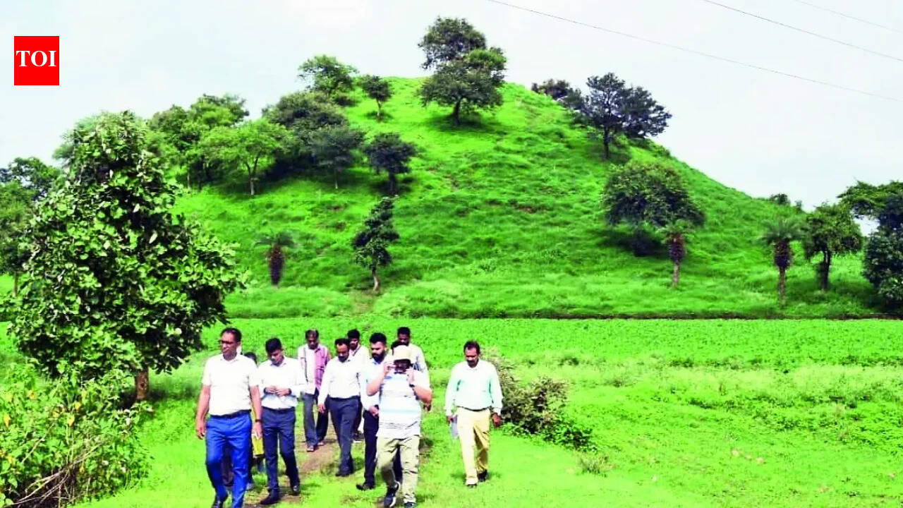 MP Prepares to Excavate Maurya-Era Stupa Potentially Larger Than Sanchi