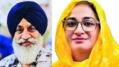'Qurbani vs qurbani' in 2027 as kin of Indira assassins lock horns for same seat