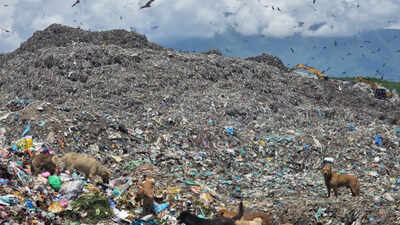 40 years, 1.1 million tonnes of waste: Will Srinagar’s garbage mountain vanish or keep making lives miserable?