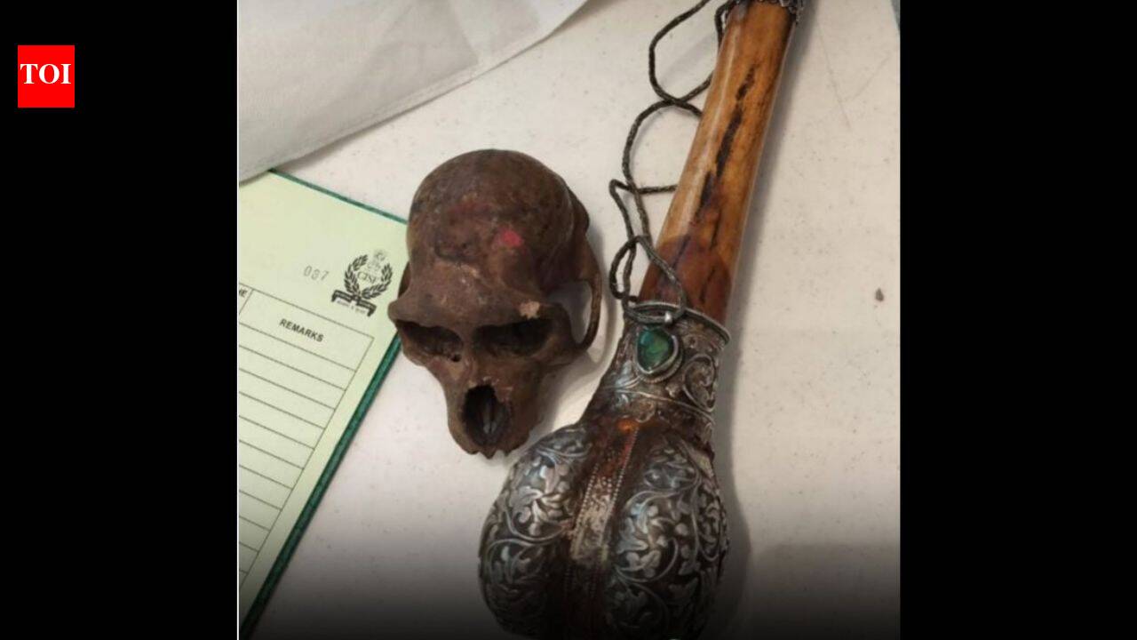Passenger carrying ‘Monkey Skull’ in bag detained at Delhi airport by CISF; wildlife case now under investigation