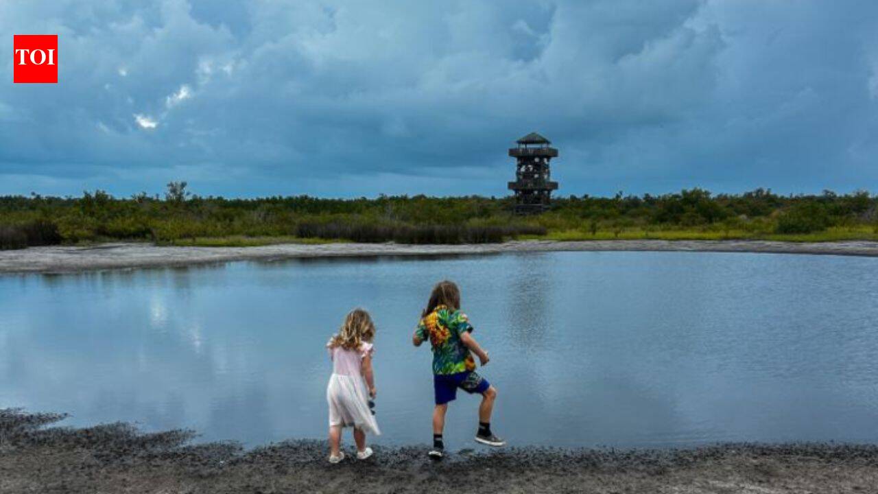 Florida turns degraded farmland into 700-acre coastal refuge drawing 240,000 visitors