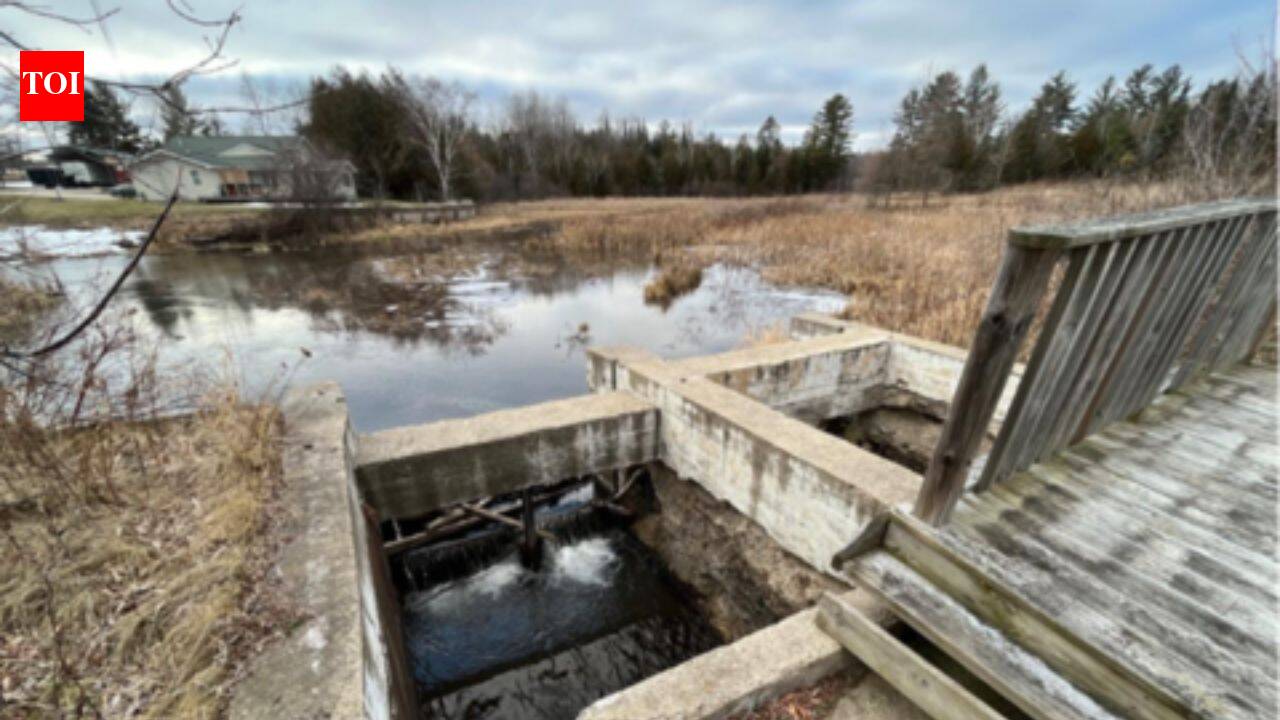 Michigan to remove the Sanback Dam in 2026, restoring 14 wetland acres and protecting more than 70 downstream miles
