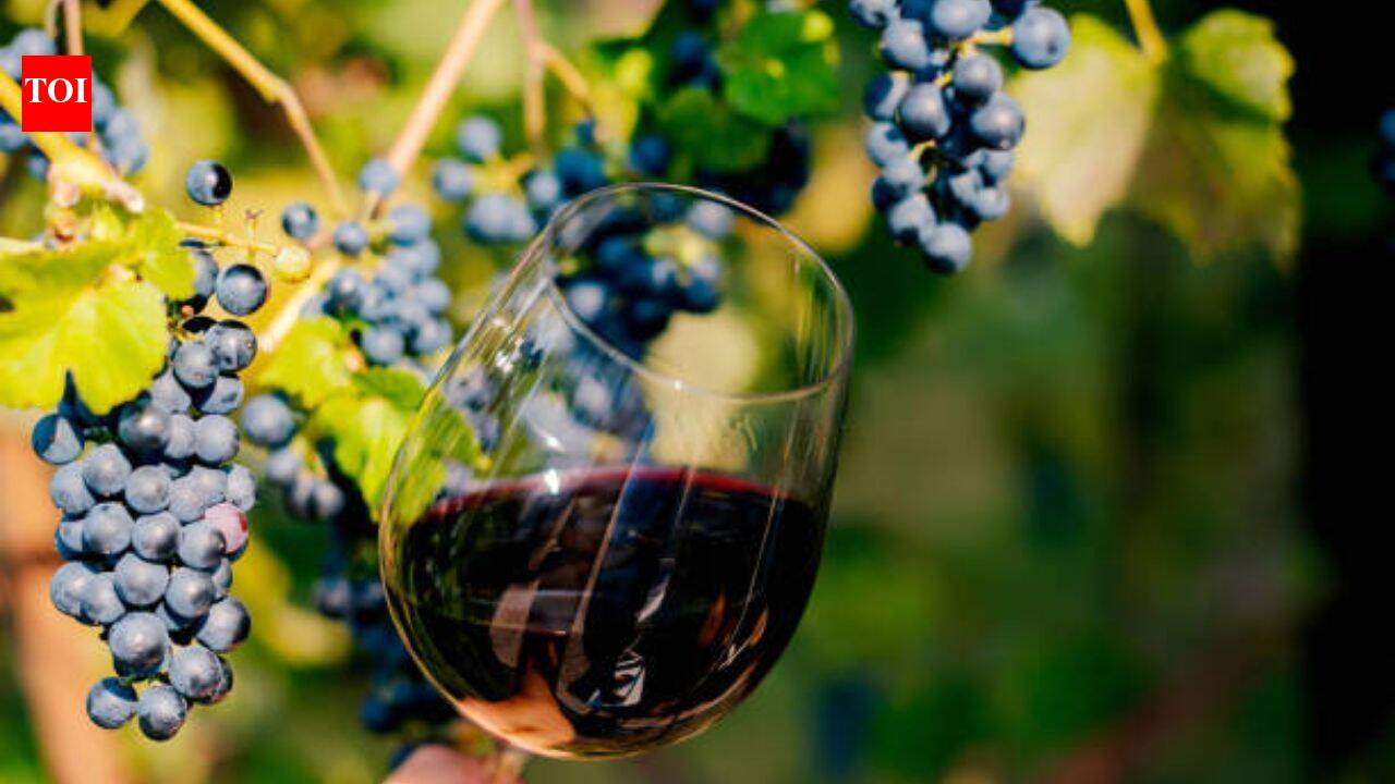 Rising temperatures are transforming Ireland into a rare wine country; the island now has 42 vineyards with upcoming bumper crops