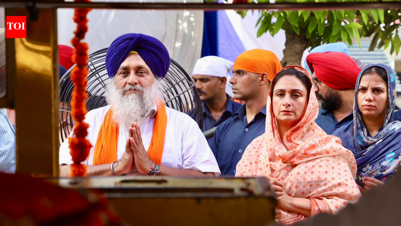 SAD chief Sukhbir Badal attacked: 62-year-old assailant had been living at Nanded gurdwara for 2 years