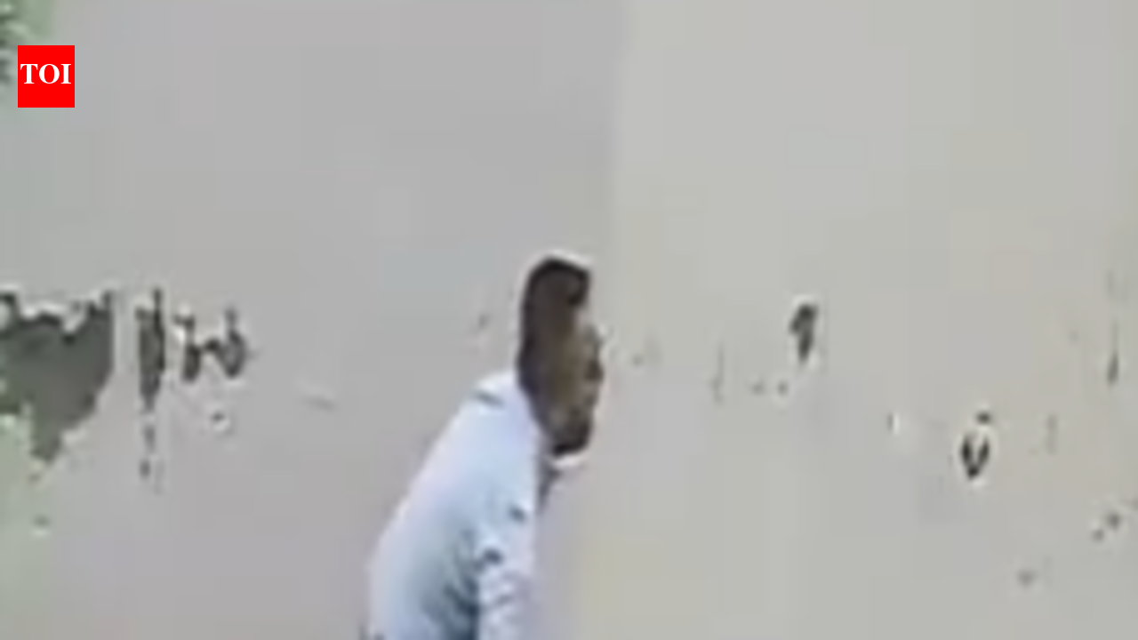 Pitbull attacks couple in Patiala; FIR against owner