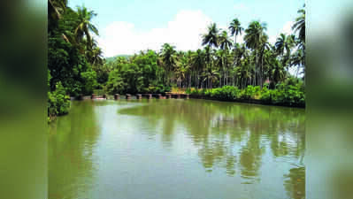 Club Mahindra denies Par river pollution claim in rights panel case