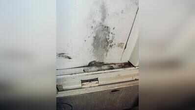 FIR after gun goes off in Gurgaon society lift, armed visitors to society under lens
