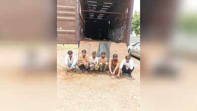42 cattle rescued as Kota police thwart smuggling bid, six held