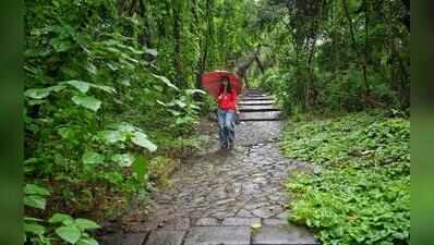 Rainfall activity likely to ease across Maharashtra after Sunday, very light rain likely in Pune city