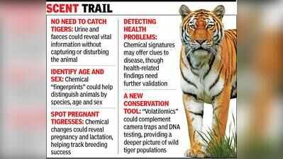 Tigers may soon health reveal secrets without being caught