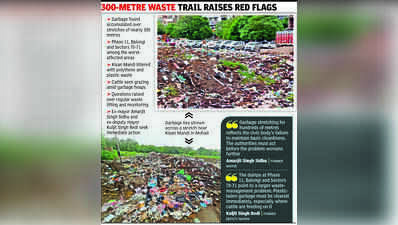Waste piles up across Mohali, residents cry foul