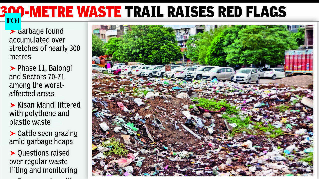 Waste piles up across Mohali, residents cry foul