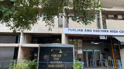 2 OMR sheets, 2 scores? NEET candidate moves Punjab and Haryana high court