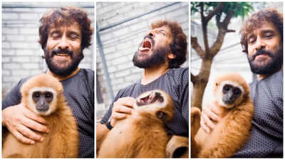 Lar Gibbon reel controversy: Vikram provides written clarification to forest dept