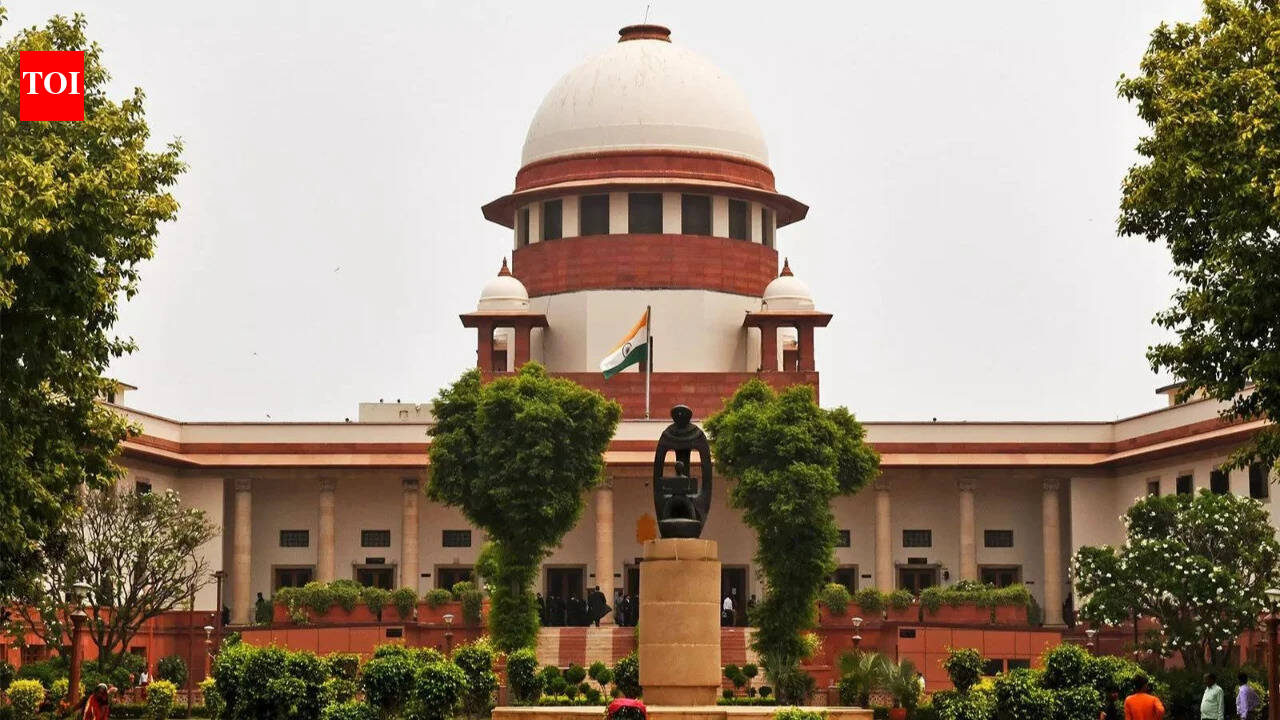 ‘Shouldn’t govt give employment?’ Supreme Court stays HC order on jobs for Karur stampede victims' kin