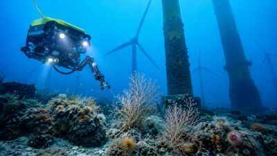 A robot explored the waters beneath 5 Scottish wind turbines and found 121 types of marine life, including possible young deep-water corals