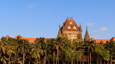Aggressively implement sterilisation for stray dogs: Bombay HC to state govt