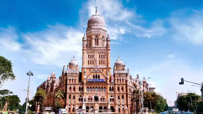 Corporators question BMC’s approach to hawker crackdown