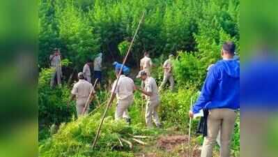 Collectors asked to guard govt land against ganja mafia