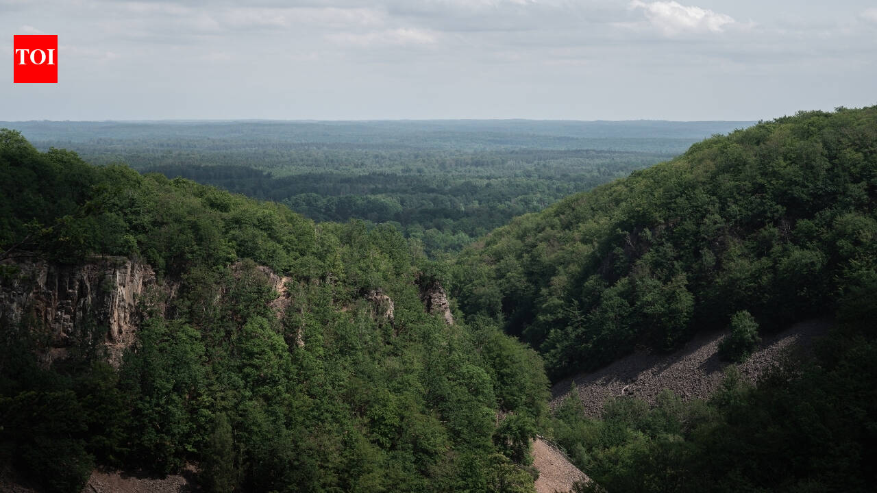 Sweden’s Söderåsen went from deforested plateau to one of northern Europe’s largest protected forests