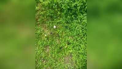 Suspected militants attack Assam Rifles post in Arunachal’s Changlang