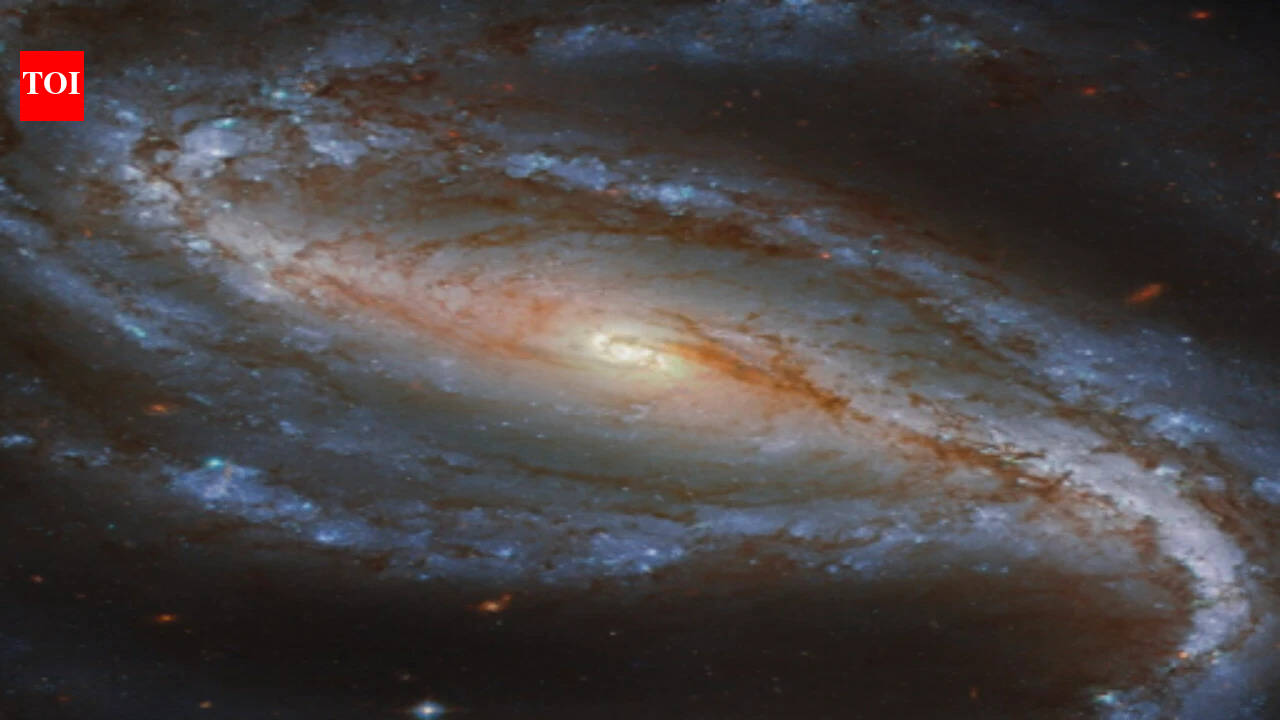 In 2016, an amateur astronomer testing a new camera captured a supernova brightening up to 70 million light-years away