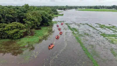 Assam floods: Toll rises to 104, over 78,000 affected across 7 districts