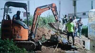 Buffalo dies after falling into open septic tank in Namakkal