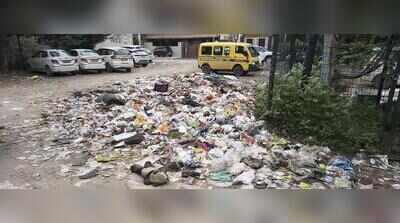 Safai strike enters 9th day, leaves Gurgaon reeking