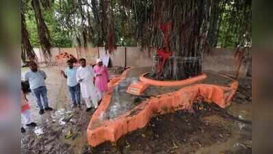 Planted on Aug 15, 1947, ‘Akshay Vat’ yearns for fresh lease of life