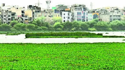 MPD 2047 proposes high-density development along UER-II: What it means for Delhi’s real estate