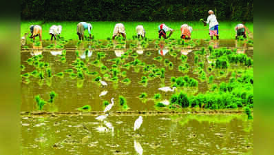 CM urges agri-entrepreneurship with local crops