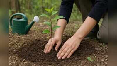 Ahmedabad’s ‘Mission Five Million Trees’ nears completion, over 88% target achieved