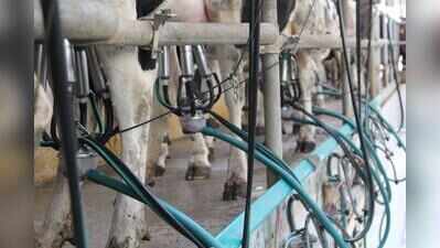 ​Milk prices rise by Rs 2/litre; milk products to be 8-10% more costly in Pune