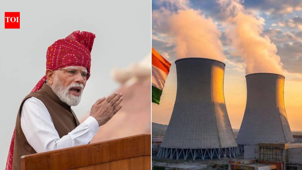 100GW of nuclear power by 2047, 5 reactors this decade: Inside PM Modi's energy self-reliance plan