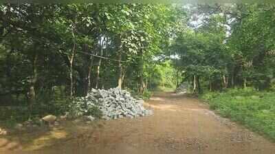 Road laid through Aravalis Mangar Bani core area despite official action
