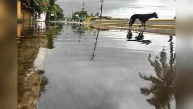 Moderate but steady Aug rain helps curb deficit